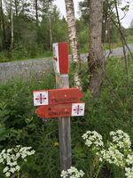 uitgelicht stiklestad 11