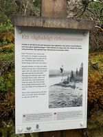 uitgelicht tannforsen00013