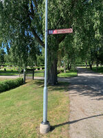 selanger 12