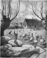 Nils Holgersson (© tekening van John Bauer)