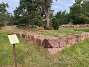 aland00009