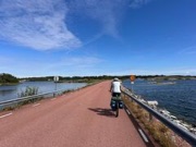 aland00014