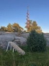 aland00021