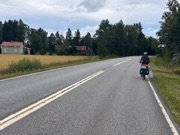aland00029
