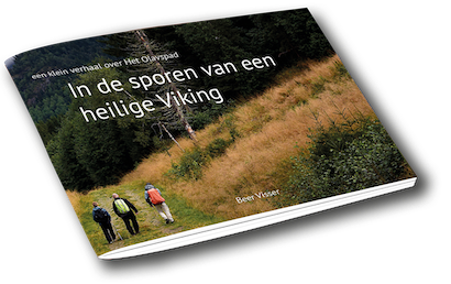 Heilige Viking mockshot